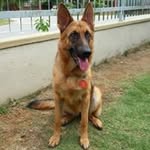 Chew Tan - @chew_tan79 - Instagram