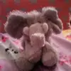 Cheyenne Armstrong - @strawberrycow2002340 - TikTok
