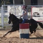 Cheyenne Harper - @rowdycperformancehorses - Instagram