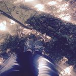 Ilikenewts - @ivy_cheyenne_cooper - Instagram