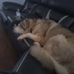 Cheyenne Johnston - @cheyenne.johnston.3998 - Instagram
