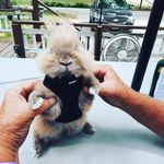 Cheyenne Nelson - @cheyenne.nelson.3720 - Instagram