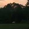 Cheyenne Ryan - @cheyenneryan3 - TikTok