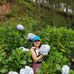 Chi Dao - Facebook