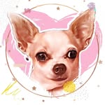 𝓐𝓶𝔂 - @amy_chihui - Instagram