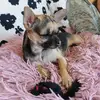 chihui - @_chihui_ - TikTok