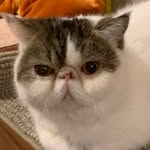 Chihui Wu - @chihuiwu - Instagram