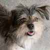 Chihui y Nube - @chihui_nube - TikTok
