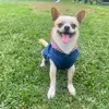 chihui.happy - @chihui.happy - TikTok