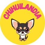 Chihuilandia Perú | Comunidad de chihuahuas - @chihuilandia - Instagram