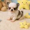 Patrizia della Tribù di Chihui - @dellatribudichihui - TikTok