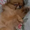 Chishi_ - @chishi_6 - TikTok