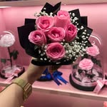 Chishi - @alise_sumi2 - Instagram