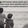 Chivo 😎 - @chivo.96 - TikTok