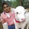 CHIVO 🐐🐑 - @el_chivo2 - TikTok