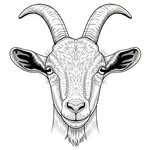 Chivo AR - @chivo_ar - Instagram