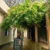 Chiyam - @chiyam736 - TikTok