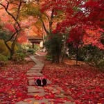 Chi Yip - @chi.yip.566 - Instagram