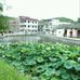 Chi Yip - Facebook