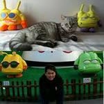 Chi Yip - @chiyip28 - Instagram