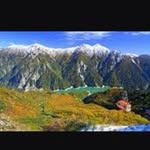 Chi Yip - @yip7650 - Instagram