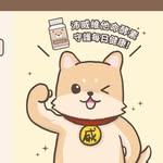 嘉仁國際-毛小孩專區 - @chiajen_shopping - Instagram