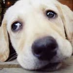 Chia-Li Tseng - @tcc0921 - Instagram