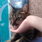 Chia Wei Tseng - @ldoll0309 - Instagram