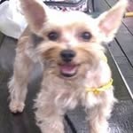 Chia Wen Tseng - @chia.tseng - Instagram