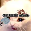 chichilin - @chichilin_ - TikTok