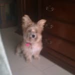 Cati Y Chico Ledesma Molina - @catiychico - Instagram