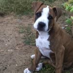 Isaac Chico Molina - @lalolatarifa - Instagram