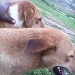 Francis Chidi Nwoke Mbanugo - @nwokembanugo - Instagram