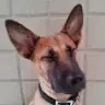 Chieh Chung - @30647585297 - TikTok