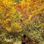 水野 千恵子 - @chieko.mizuno.399 - Instagram
