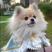 Chih Lee - Facebook