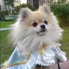 Chih Lee - @chih.lee8 - TikTok