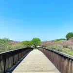 Chin Hsu - @hsu.chin - Instagram
