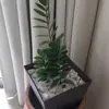 chinhsuadieukhac - @chinhsuadieukhac - TikTok