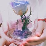 Chin Liew - @liewchinchin95 - Instagram