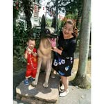 Chin Liew Chia - @chinliewchia - Instagram