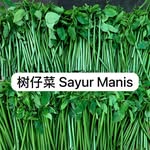 Hon Chin Liew - @liewhonchin - Instagram