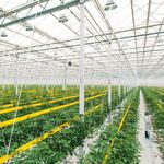 Jy Pang - @china_greenhouse_experts - Instagram