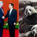 Dear China, please keep Harper - thanks for the Pandas in exchange - Facebook