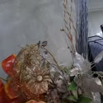 Chinedu Ekezie - @chinedu_ekezie - Instagram