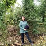Ching Chuang - @ching41041 - Instagram