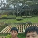 Ching Chang Chung - Facebook