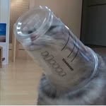 Ching Chung - @ching_chung - Instagram