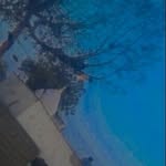 ching chung - @ching_chung_77 - Instagram