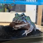 Ching Kong - @gn02032710 - Instagram